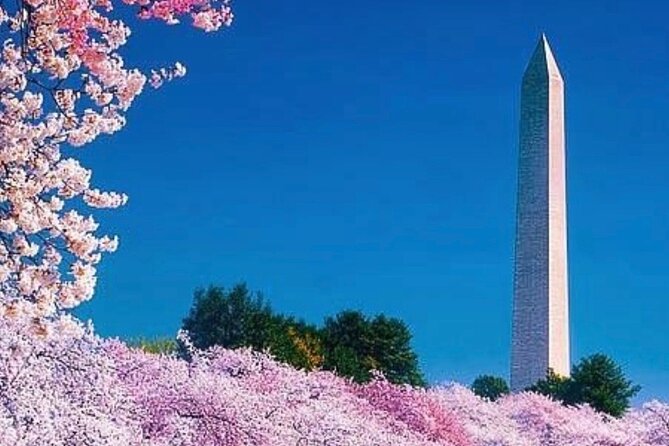3 Hour Tour Of Washington, D.C. The Nucleus Of Democracy - What to expect during each stop: timing and your photo plan