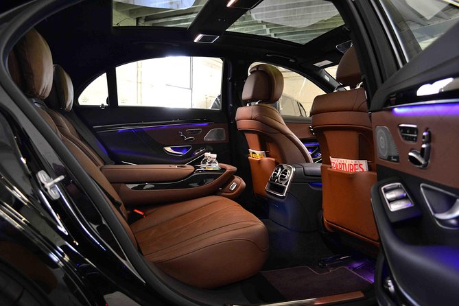 4 Hours Private Chauffeured DC Sight Seeing Tour / SUV & Sedan - Arlington National Cemetery: the changing guard plus some serious viewpoints