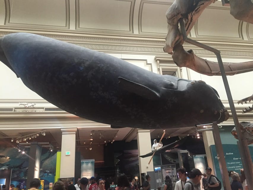 American History/Natural History Museum Combo Guided Tour - Key Points at a Glance