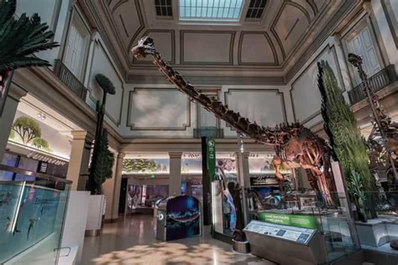 American History/Natural History Museum Combo Guided Tour - Why This National Mall Combo Works in 3 Hours