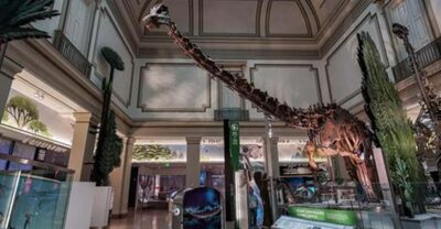 American History/Natural History Museum Combo Guided Tour - The Route: Start at 1300 Constitution Ave NW and End at 900 Constitution Ave NW