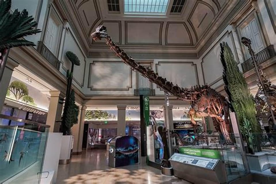American History/Natural History Museum Combo Guided Tour - Tips to Make the Most of a 3-Hour Museum Sprint