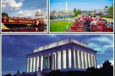 Best of DC: Hop-on Hop-off, Night Tour, and Arlington Audio Guide - Picking 24, 48, or 72 hours on the open-top bus