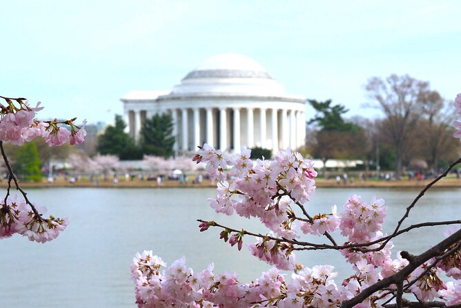 Cherry Blossom & Monuments Tour with Washington Monument, Museums - A 3–4 Hour Loop That Gets You Oriented Fast in DC