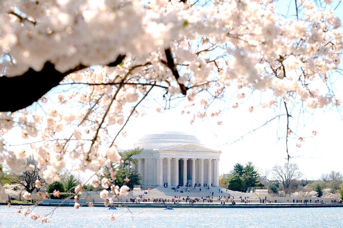 Cherry Blossom & Monuments Tour with Washington Monument, Museums - Price and Value: Why $59 Can Work (When It Matches Your Goals)