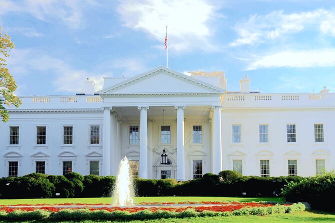 Cherry Blossom & Monuments Tour with Washington Monument, Museums - Quick Practical Tips for Photos and a Smoother Day