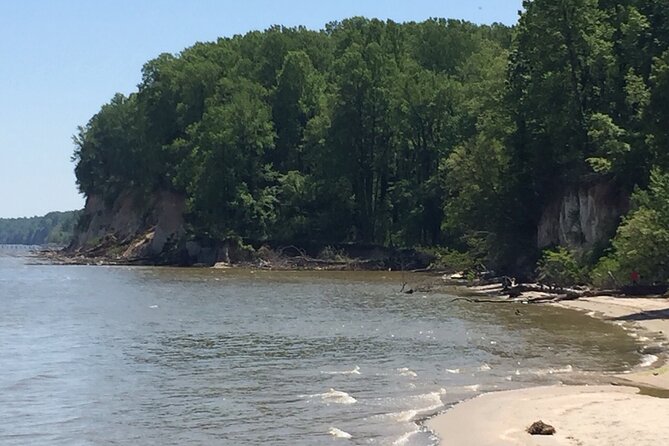 Chesapeake Beach Guided Walking Tour - The Cliffs - What the guide helps you spot (and why it’s worth it)