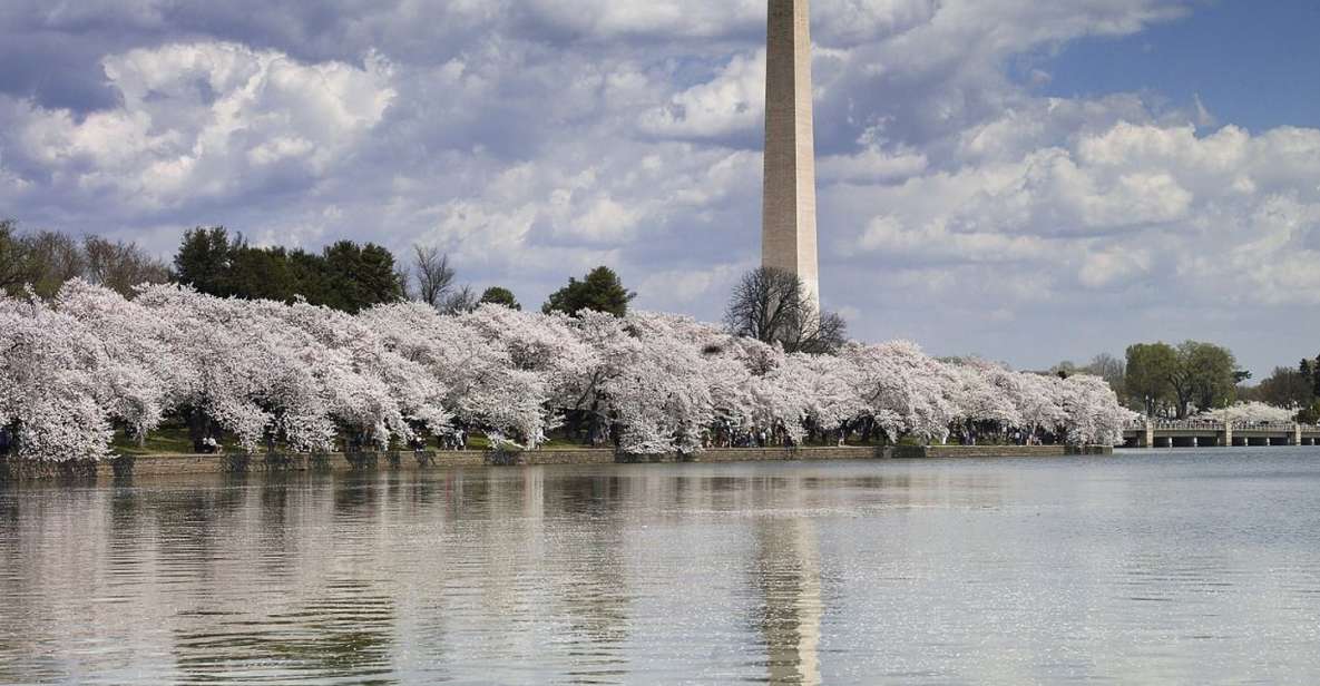 DC Bus Tour with Optional Washington Monument or Air & Space - Optional Tickets: Washington Monument, Air & Space, and African American History Museum