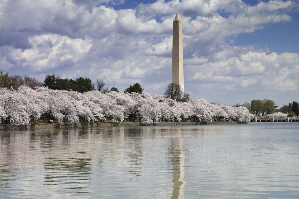 DC Bus Tour with Optional Washington Monument or Air & Space - Start With the Political Heavyweights: Capitol and White House Photo Stops