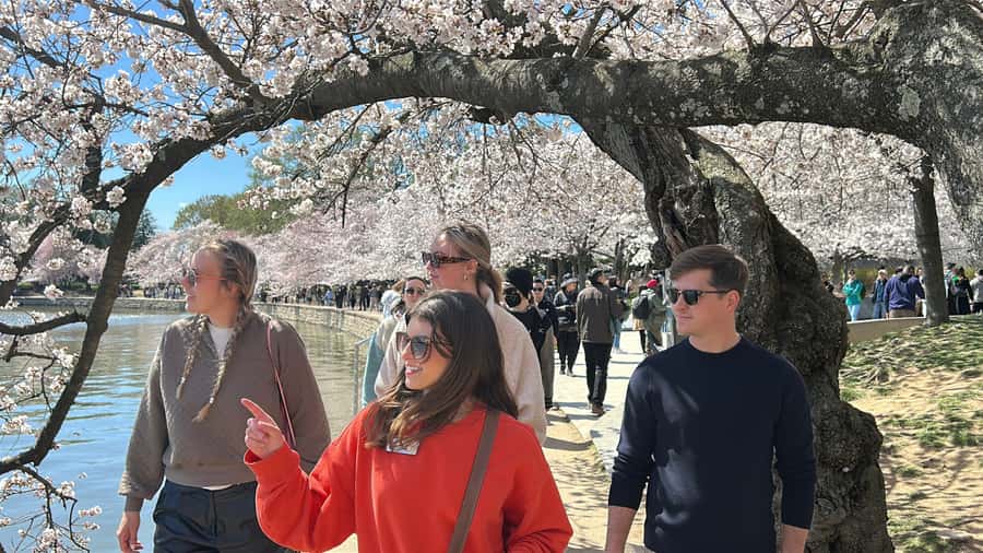 DC: National Mall 2.5 Hr Tour & Washington Monument Tickets - Key Points at a Glance