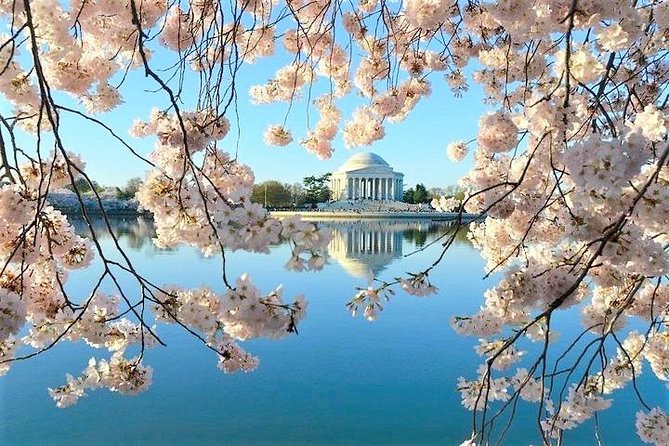 Discover DC Private Tour – (Up to 12 Guests) - What you see on the drive: Archives, Smithsonian, and art museums without the museum-day logjam