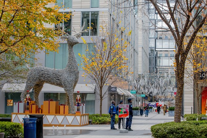 Downtown DC Holiday Tour: Lights, Decorations & Festive Cheer - How this holiday lights tour feels in real time