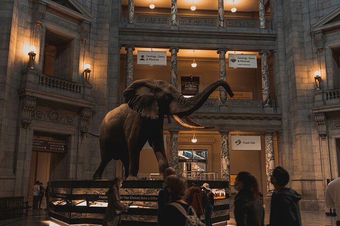 Essential Smithsonian Tour with NMAAHC Timed Entry - Natural History Museum: T-Rex bones, marine life, and the Hope Diamond