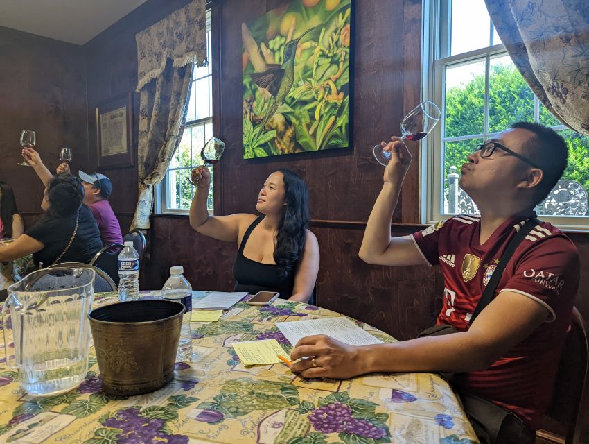 From DC: Premium Virginia Wine Country Tour with Tastings - Why This 6-Hour DC Wine Trip Works