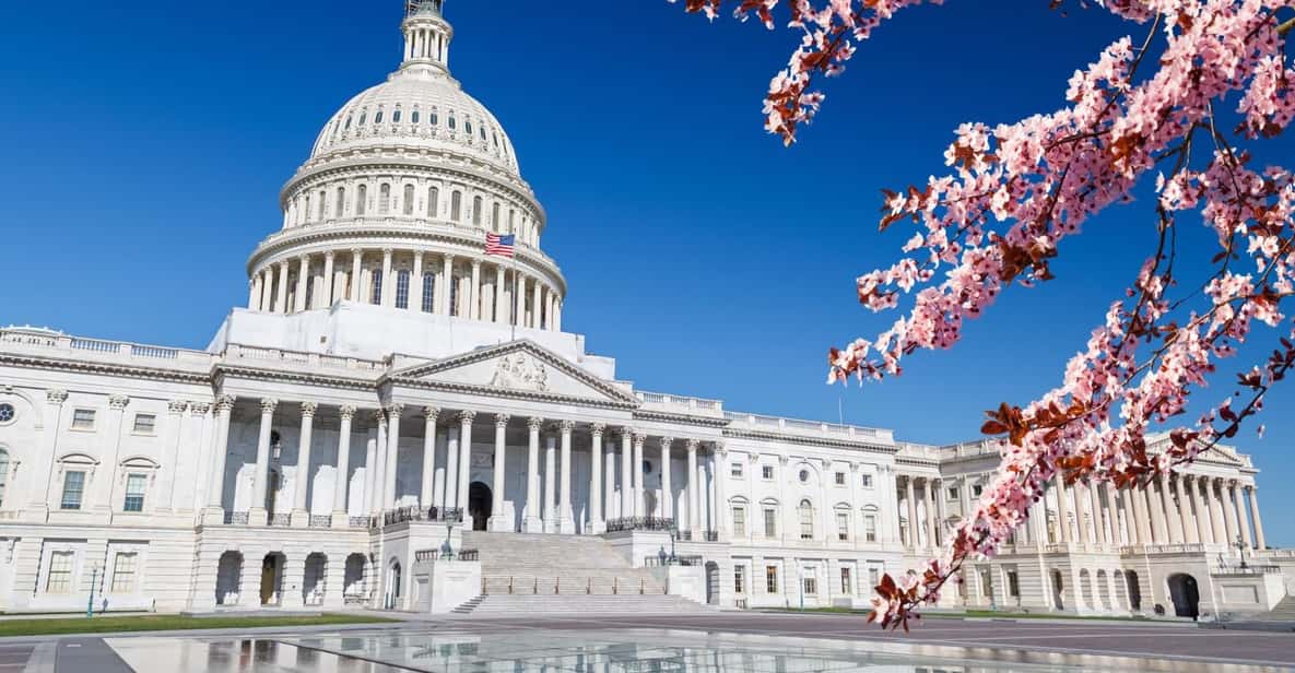 Full Day Washington DC & Mount Vernon Tour - Key Points You’ll Actually Care About
