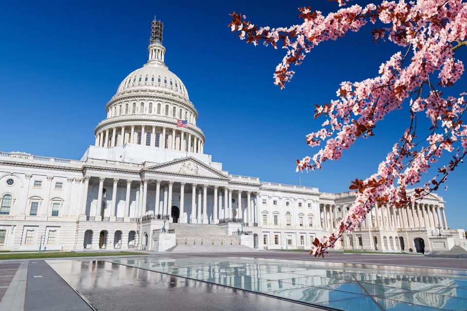 Full Day Washington DC & Mount Vernon Tour - Alexandria, Virginia: A Compact Taste of Old Town