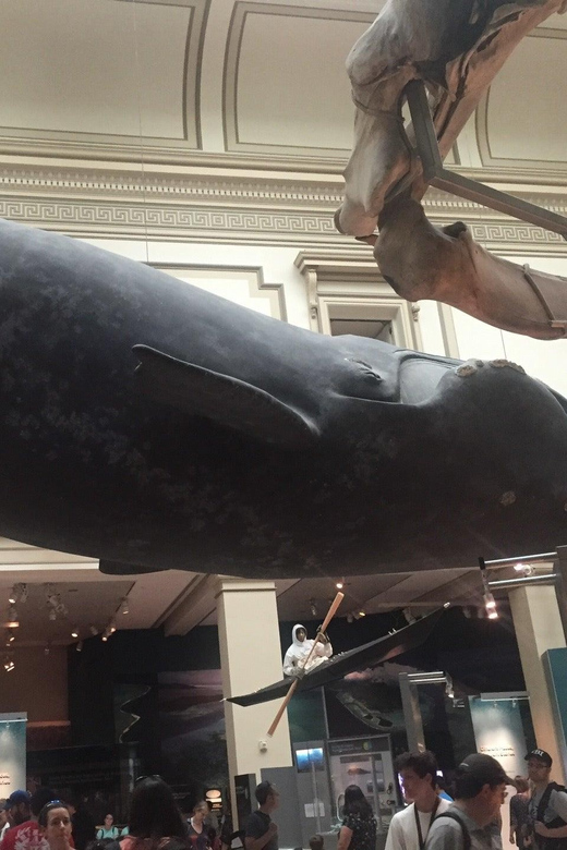Guided Tour of The Natural History Museum - The T. rex beginning that sets the pace for everything after