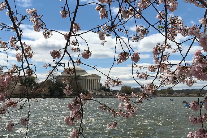 Half-Day Private Guided Bike Tour in Washington - Robert A. Taft Memorial and the carillon soundscape