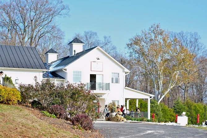 Northern Virginia Private Custom Wine Tour and Tasting from DC - Price and Logistics: What $995 Covers (and What Doesn’t)