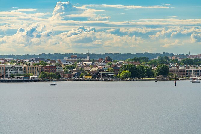 Old Town Alexandria in a Day with Round Trip Ferry Cruise - Who this tour is for (and who should pick another plan)