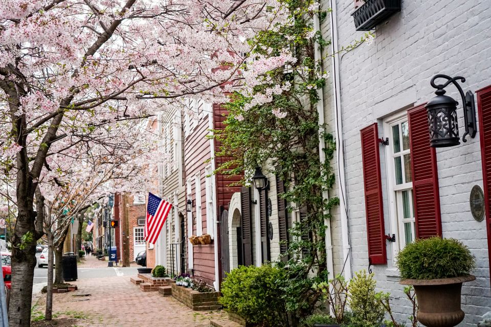 Old Town Alexandria: Southern Comfort Food & History Tour - Practical Tips That Make the Day Smoother