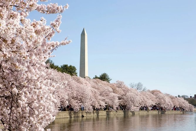 Presidential DC: Capitol Hill + DC Bus Tour, US Capitol Entry - WWII Memorial and MLK Memorial: Free Stops That Land