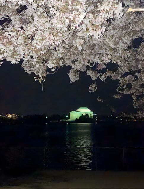 Private DC at Night Tour - $350 Per Group Up To 4: Is It Worth It?