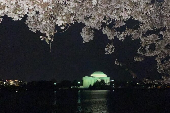 Private Monuments At Night Tour - World War II, Jefferson, and MLK: memorials that teach while you walk