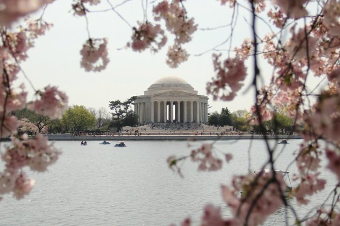 Private Pedicab Tour of DC Monuments and Memorials - Memorial stops that change the mood fast: WWII, MLK, and Korean War