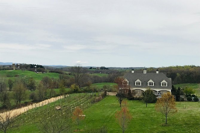 Private Washington DC Virginia Winery Wine Tasting Tour - Pickup at The Wharf: a simple start to a long tasting day