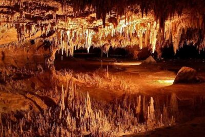 Shenandoah and Luray Caverns Small Group Tour from DC - Luray Caverns: Big Lighting, Clean Walkways, and Time to Explore