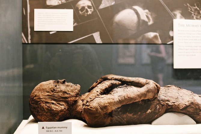 Smithsonian Museum of Natural History Small Group Tour: 8ppl Max - Price and Value: Is $89.67 Worth It?