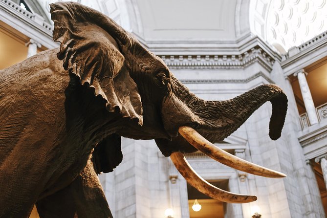 Smithsonian Natural History + Museum of American History 8ppl Max - Price and Value: What $166.15 Really Buys You