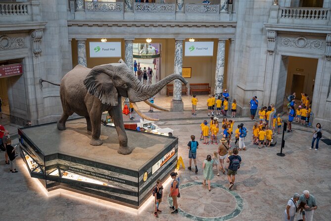 Smithsonian Natural History Museum Semi-Private Guided Tour - Key Highlights You’ll Notice Fast
