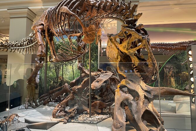 Smithsonian Natural History Museum Semi-Private Guided Tour - Start at the Unscripted Welcome Center (and Get the Plan)