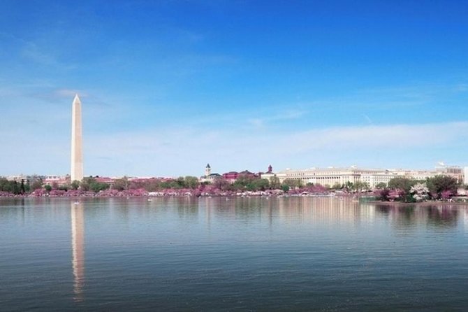 The Washington DC Sightseeing Flex Pass: Capital Savings - Choosing 1 vs 2 vs 4 attractions: the strategy that keeps your days easy