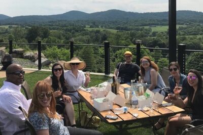 Virginia Wineries Guided Tour and Tastings from Washington DC - Price and Value: What $230 Includes (and What You’ll Pay For)