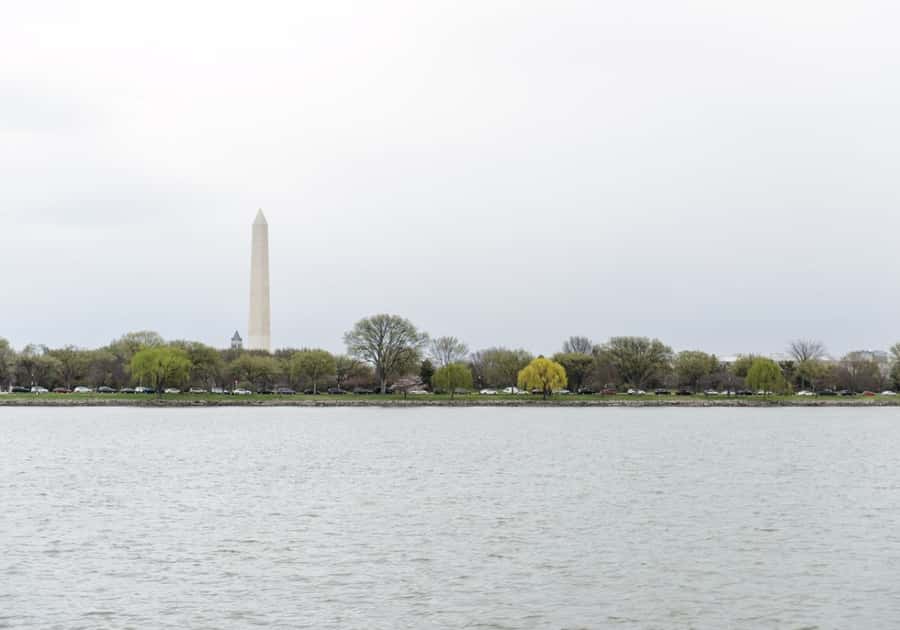Washington DC: 1 or 2-Day Unlimited Water Taxi Pass - The Wharf to Georgetown: your first easy win on the Potomac