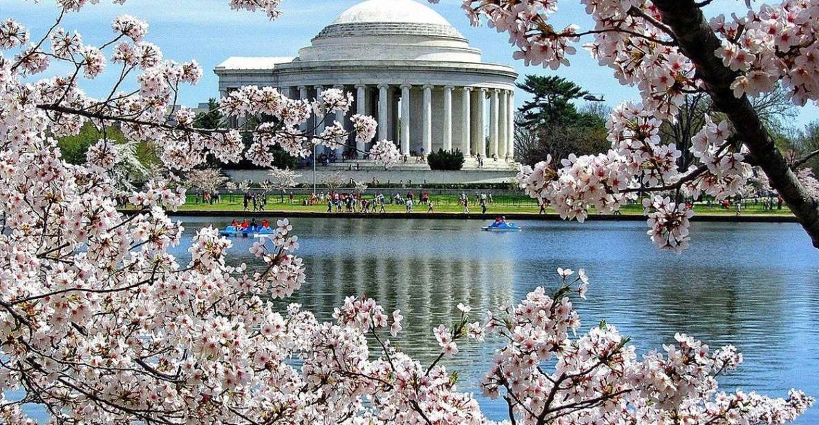 Washington DC: Cherry Blossom Walking Tour - Key things I’d circle before you go