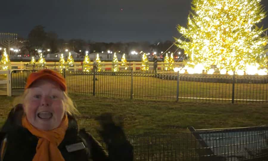 Washington, DC: Christmas Tree & Holiday Lights Bus Tour - Key things to know before you go