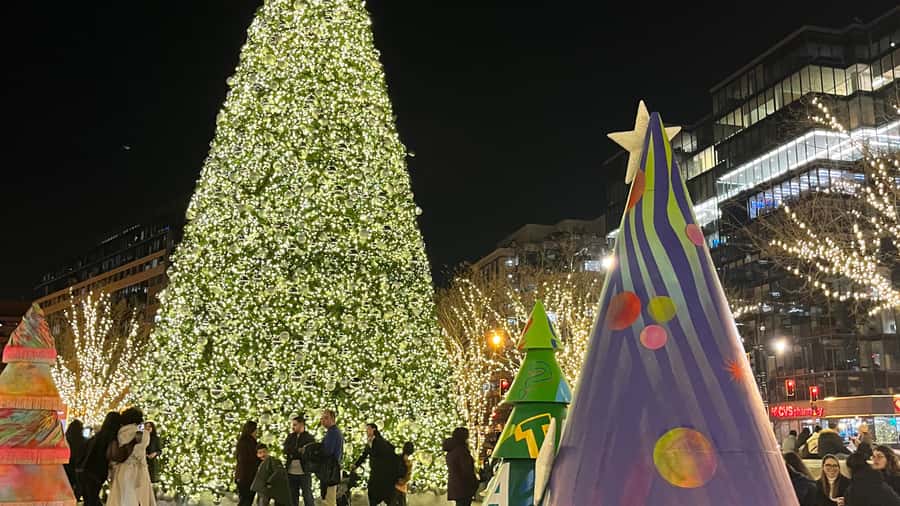 Washington, DC: Christmas Tree & Holiday Lights Bus Tour - A 2.5-hour Christmas lights plan that respects your time
