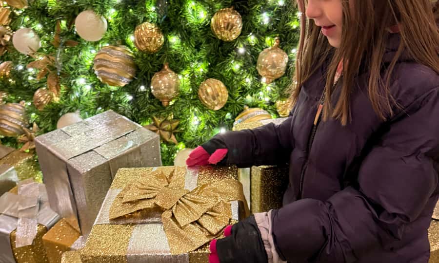 Washington, DC: Christmas Tree & Holiday Lights Bus Tour - The National Christmas Tree and Pathway of Peace: what to look for