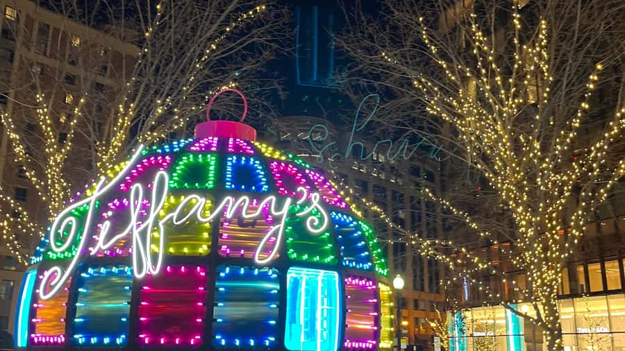 Washington, DC: Christmas Tree & Holiday Lights Bus Tour - Capitol Christmas Tree: the easiest photo win of the tour