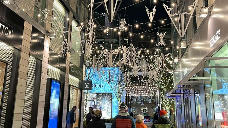 Washington, DC: Christmas Tree & Holiday Lights Bus Tour - National Menorah during Hanukkah: seasonal and respectful