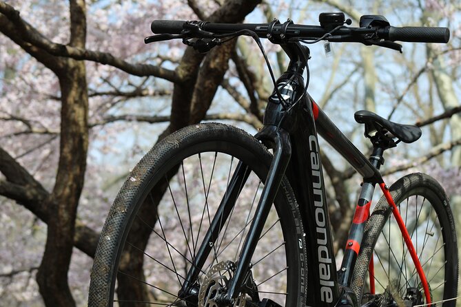 Washington DC eBike Rental with Helmet and Handlebar Bag for 16+ - The Bike Setup: Helmet, Lock, Deposit, and the Rules