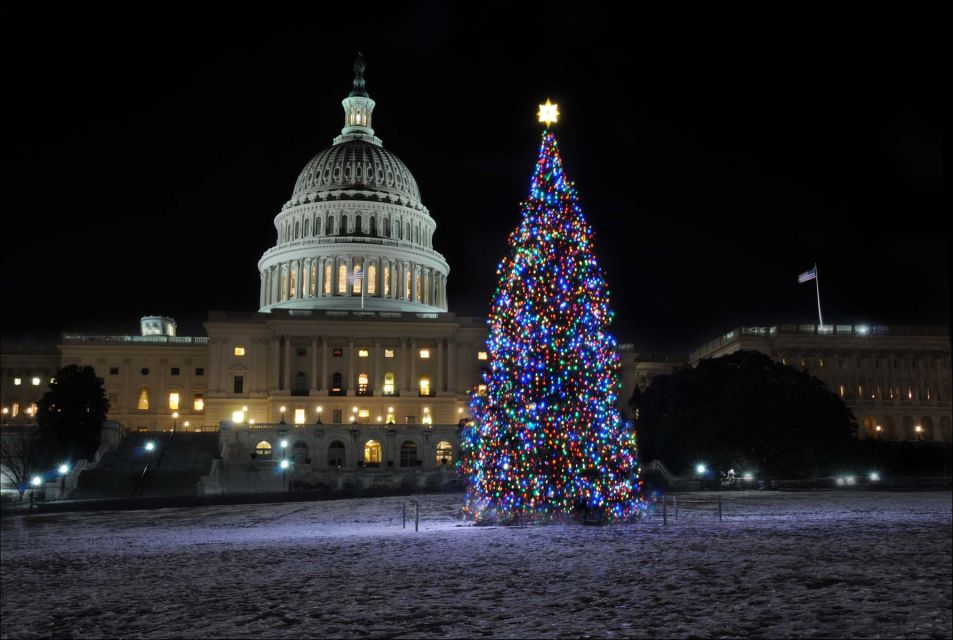 Washington, DC: Holiday Lights Nighttime Bus Tour - National Harbor: The 54-Foot Tree Moment