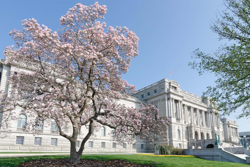 Washington DC: Library of Congress Private Tour with Tickets - Practical tips to keep your visit smooth and worthwhile