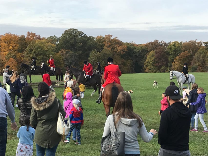 Washington DC: Mount Vernon Half-Day Tour - The Guide and Audio Experience: Professional Does Not Always Mean Perfect