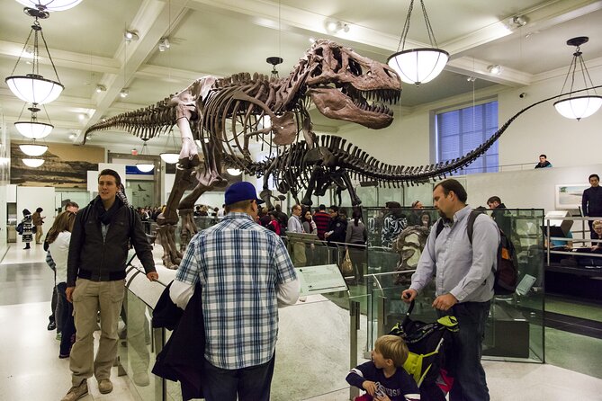 Washington DC Museum of Natural History Private Family tour - Key things to know before you go