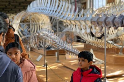 Washington DC Museum of Natural History Private Family tour - Where you meet and how to plan your timing
